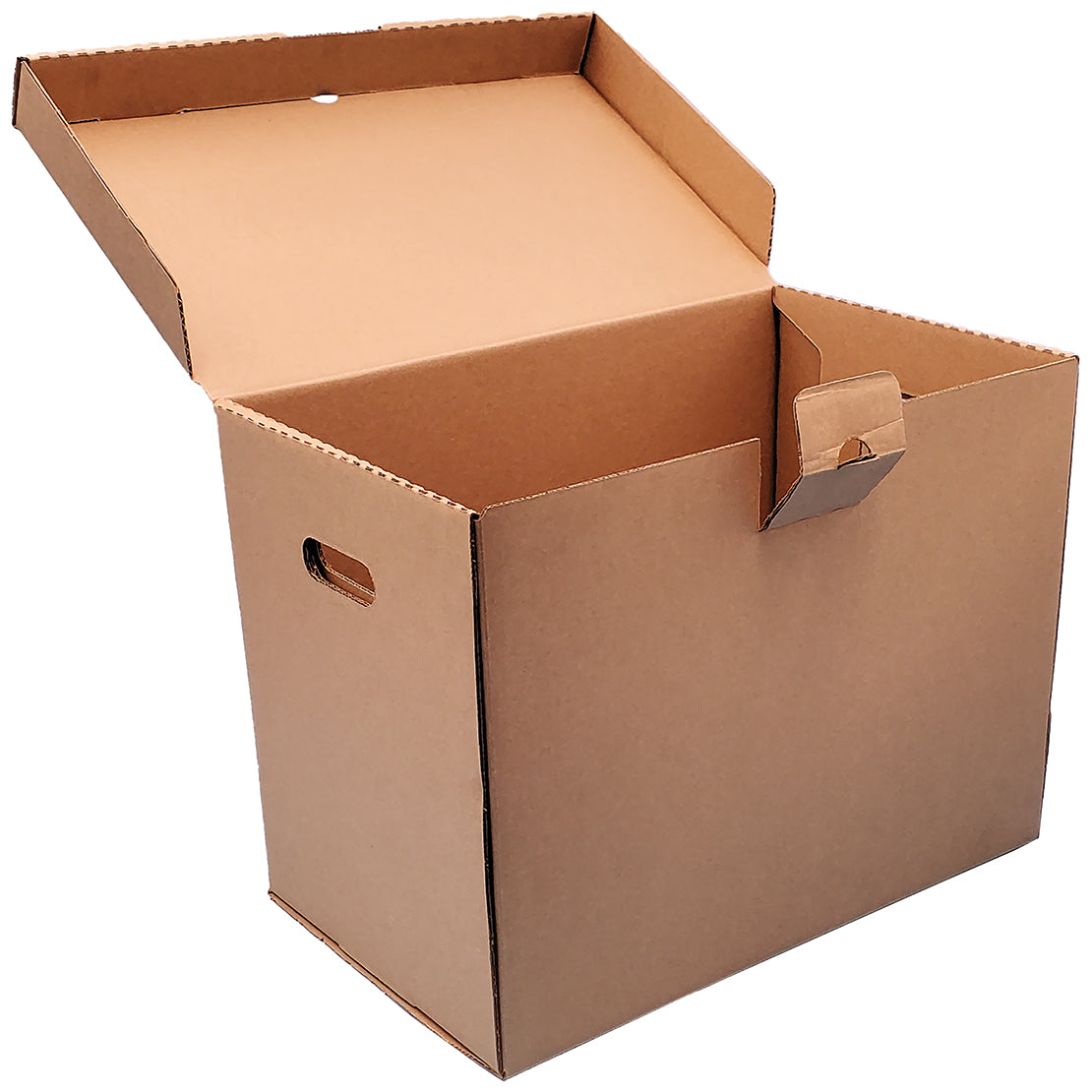 Beige Color File Box Color Code File Folder Storage - Box Sturdy, Large, with Lid – Microtec